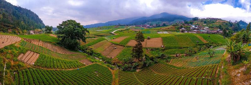 Panoramic view of agricultural field against cloudy sky