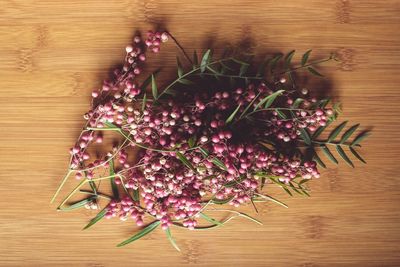 Close-up high angle view of flowers on table