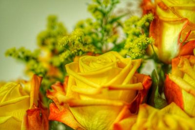 Close-up of yellow flowers