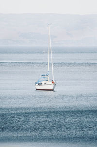 Sailboat sailing on sea against sky