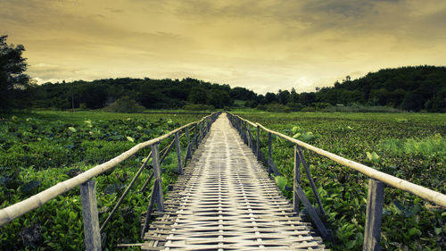 Walkway amidst plants on field against sky