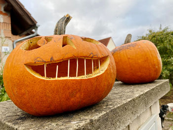 Close-up of pumpkin on pumpkins