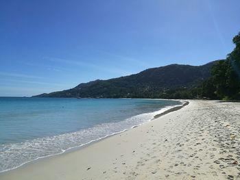 Scenic view of beach against clear sky