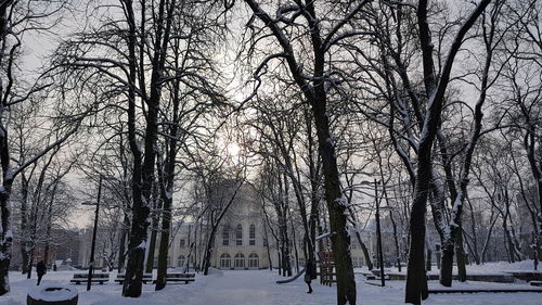 Bare trees on snow covered landscape