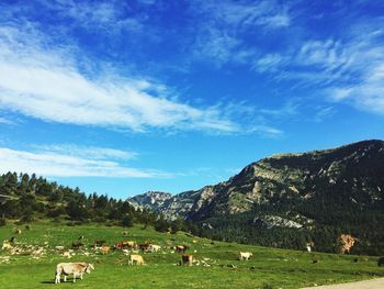 Scenic view of mountains against blue sky