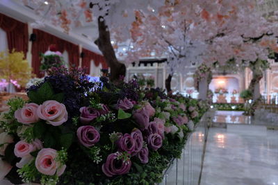 Pink cherry blossom flowers