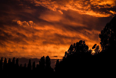 Low angle view of silhouette trees against dramatic sky