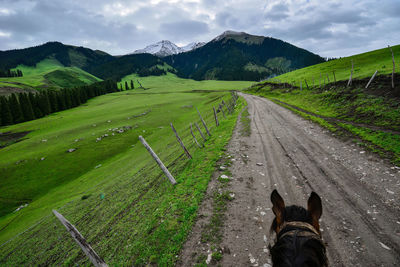 Qiongkushtai is a small kazakh village located in the isolated valley of the tianshan mountains.