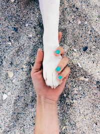 High angle view of people holding hands