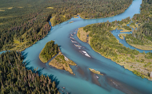 High angle view of river amidst trees