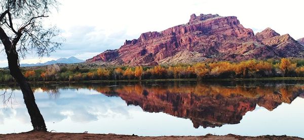 reflection