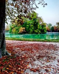 Scenic view of park by lake during autumn