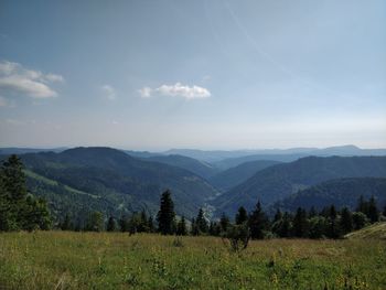 Scenic view of landscape against sky