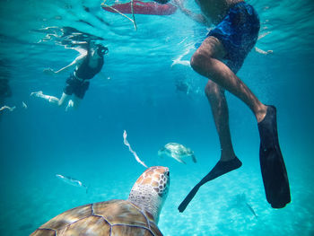 Man and woman swimming by turtle in sea