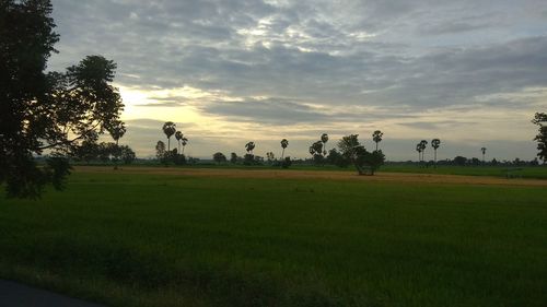 Scenic view of field against sky during sunset