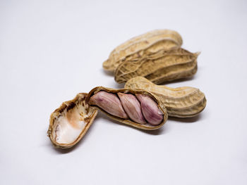 Close-up of bread against white background