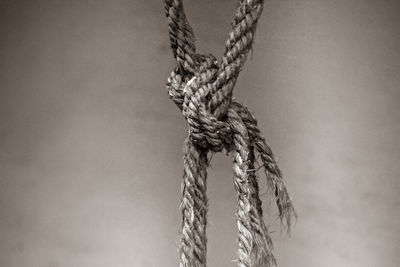 Close-up of rope tied to pole