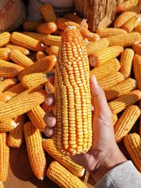 High angle view of corn on cutting board