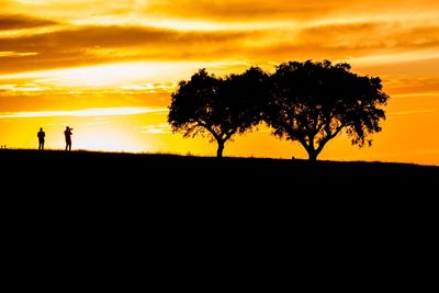 Silhouette tree on landscape against orange sky