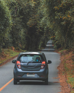 Cars on road in forest