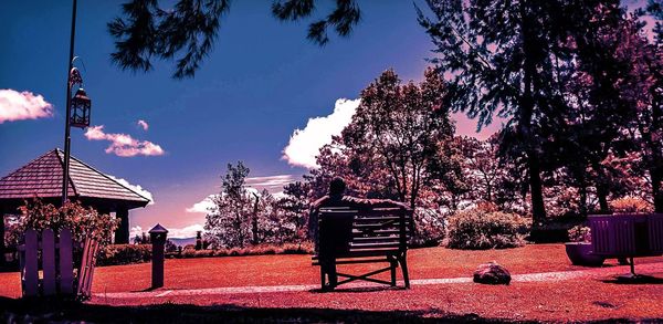 Empty bench by silhouette trees on field against sky