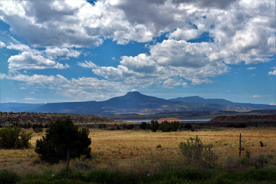 Scenic view of field against sky