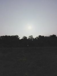 Trees against clear sky during sunset