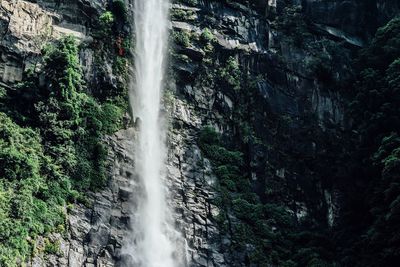 View of waterfall in forest