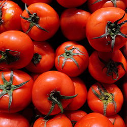 Full frame shot of tomatoes for sale