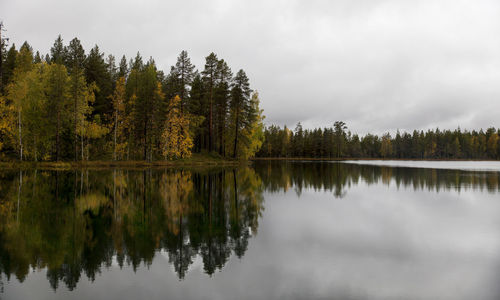 Reflection of trees in lake against sky