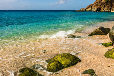 Scenic view of sea shore against sky