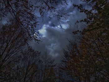 Low angle view of trees against sky at sunset