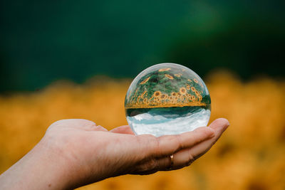 Cropped hand holding crystal ball