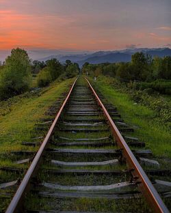 Road passing through field