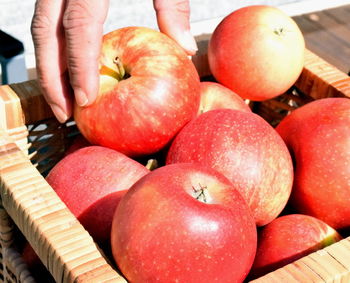 Close-up of hand holding apple