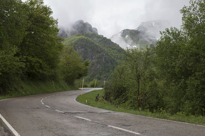 Road amidst trees against sky