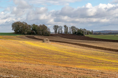 Scenic view of field against sky