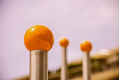 Close-up of orange bell