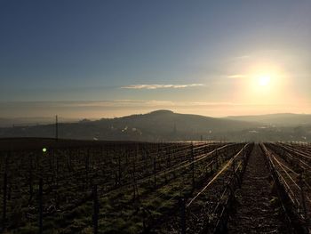 Scenic view of landscape at sunset