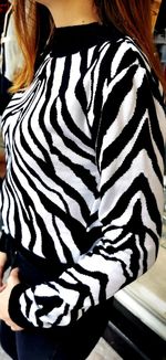 zebra