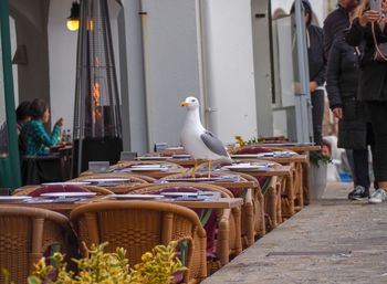 Man perching on woman