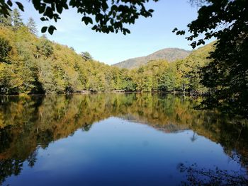 Scenic view of lake by trees against sky