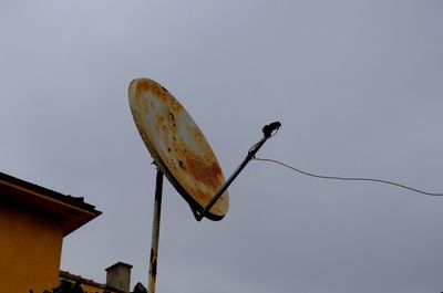 Low angle view of lizard against clear sky