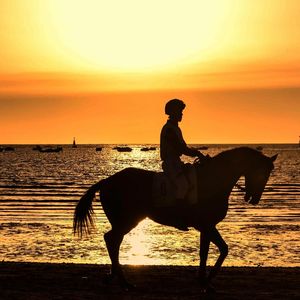 Scenic view of sea at sunset