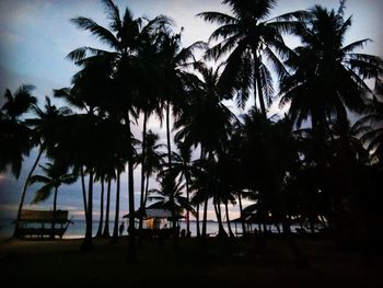 Silhouette palm trees on beach against sky