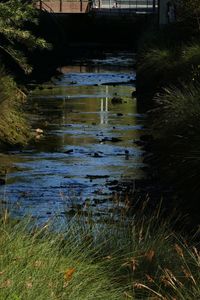 High angle view of lake