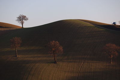 Scenic view of field against clear sky