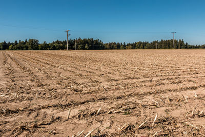 Scenic view of agricultural field against clear sky