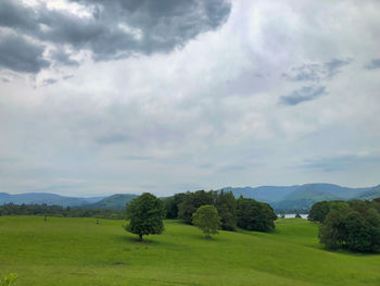 Trees on field against sky