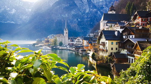 River amidst buildings in town